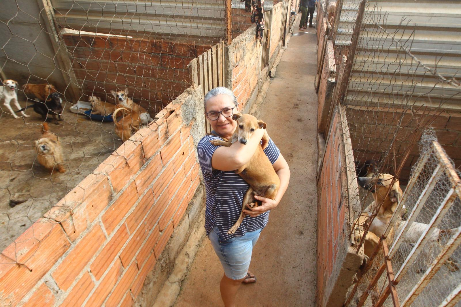 Cuidadora a segurar um cão ao colo no corredor do abrigo